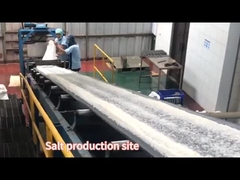 नमक उत्पादन लाइन