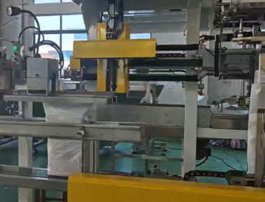 गुणवत्ता  Dual-Lane Salt Packaging Machine Line - High-Capacity Salt Packaging Solution कारखाना