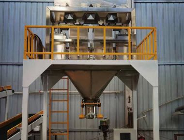 डबल-लेन नमक पैकेजिंग मशीन लाइन - उच्च क्षमता वाले नमक पैकेजिंग समाधान